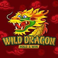 Game icon