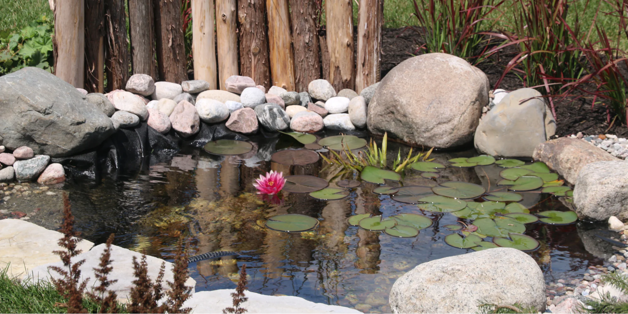 flora-how-to-make-a-rock-garden-by-yourself