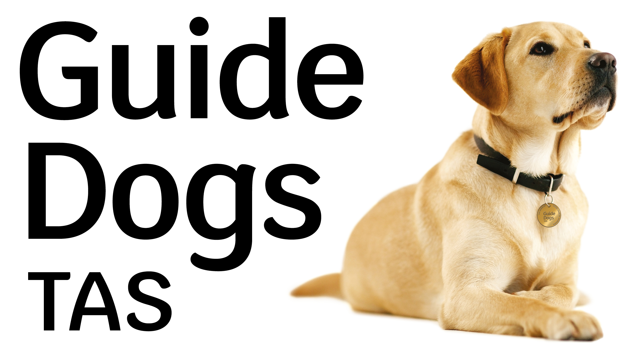 Guide Dogs TAS Logo