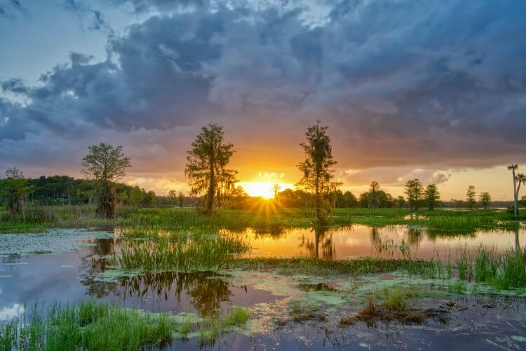 WaterSong villas, Davenport, Florida Top Villas