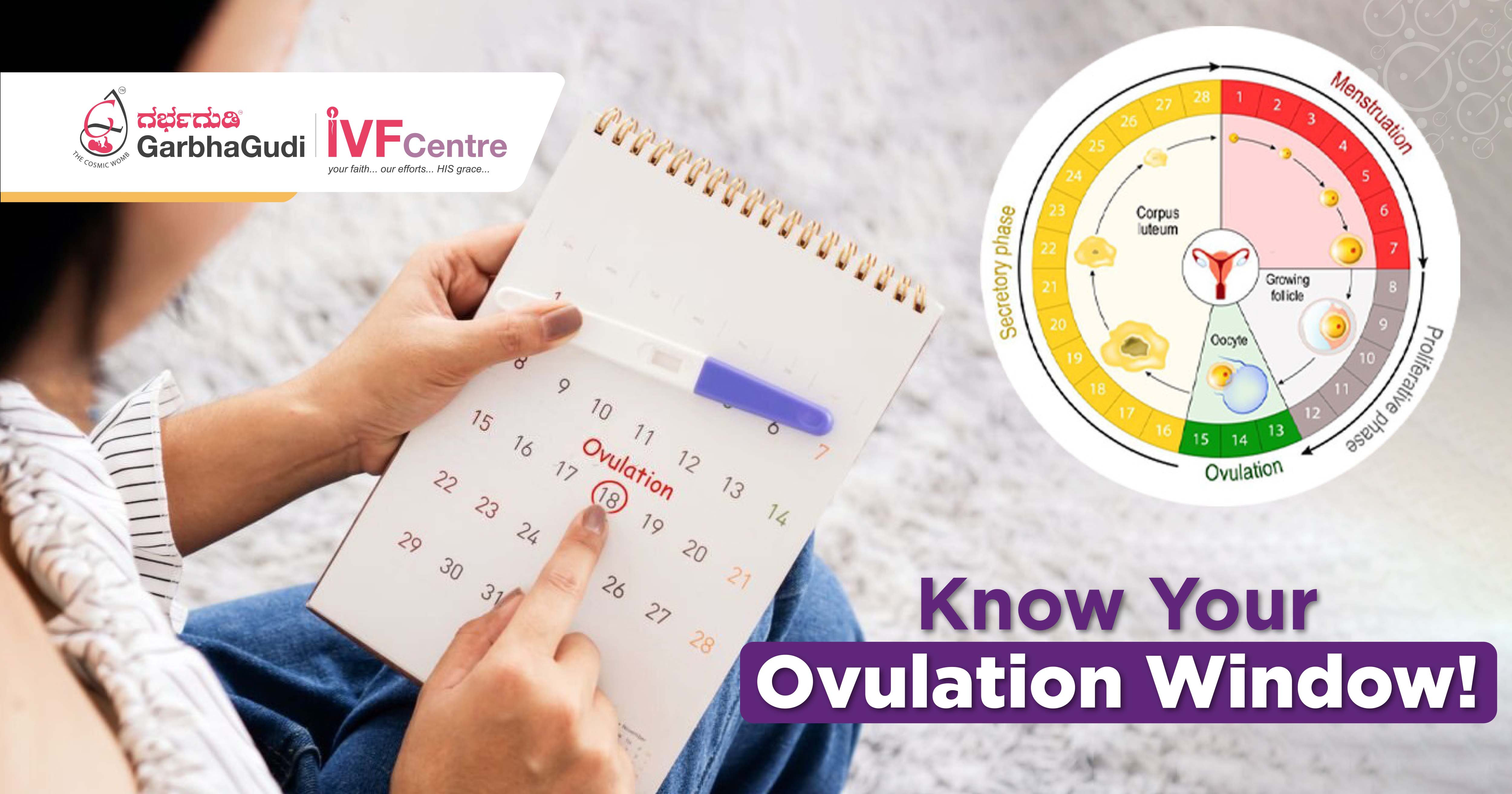 Know Your Ovulation Window 