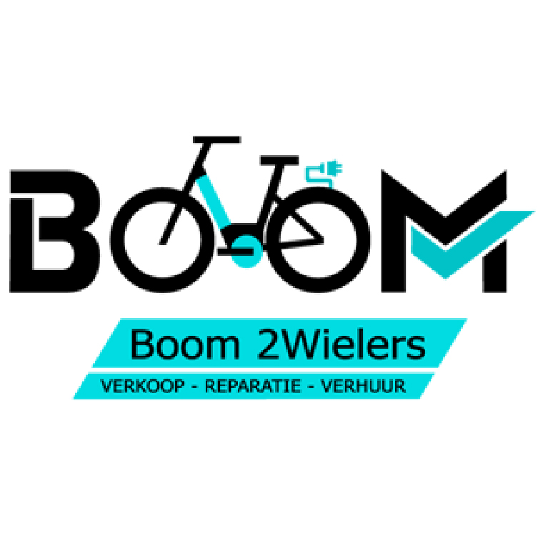 Boom Fietstechniek