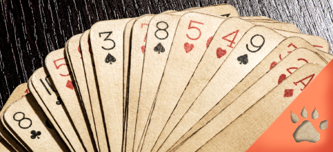 La Historia del juego de Blackjack | LeoVegas Blog 
