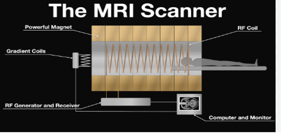 mriscanner.png