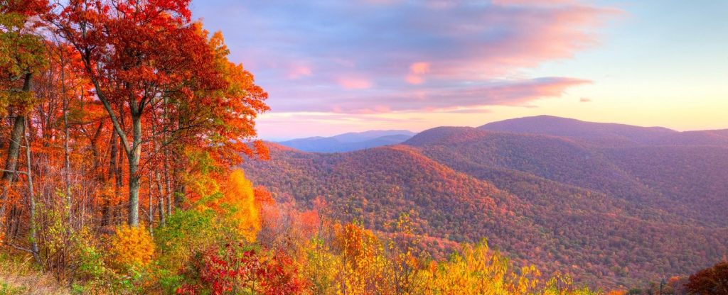 Skyline Drive in Virginia is one of the best places for fall foliage viewing in the country.