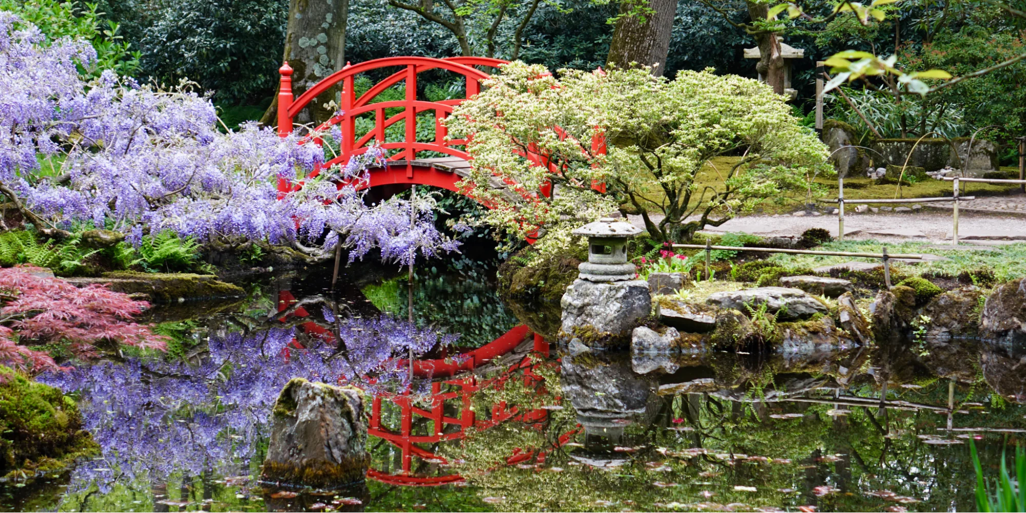 zen-garden-1657798745522.webp