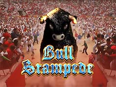 Bull Stampede