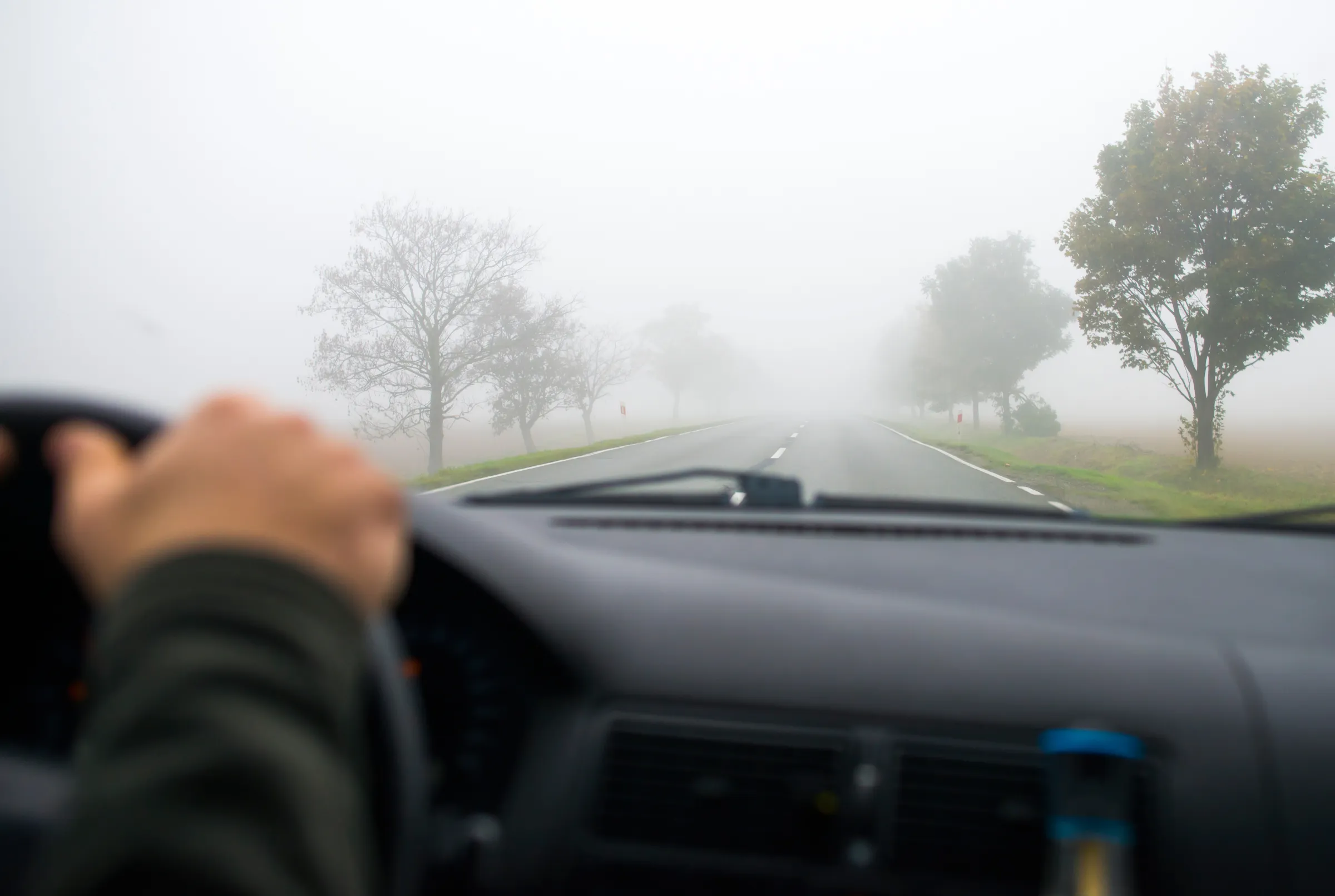 Conducir en neblina: Tips para no poner en riesgo tu seguridad