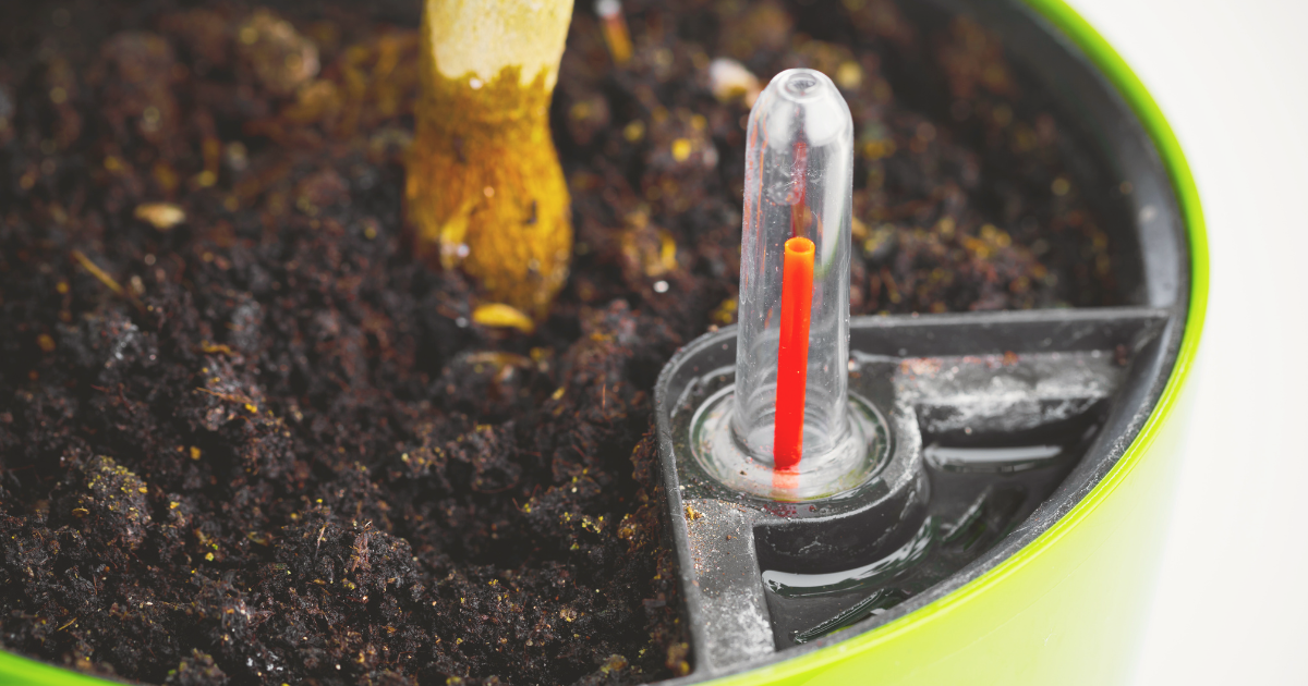 Switch to Self-Watering Containers.png