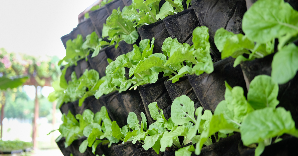 Vertical Gardening.png