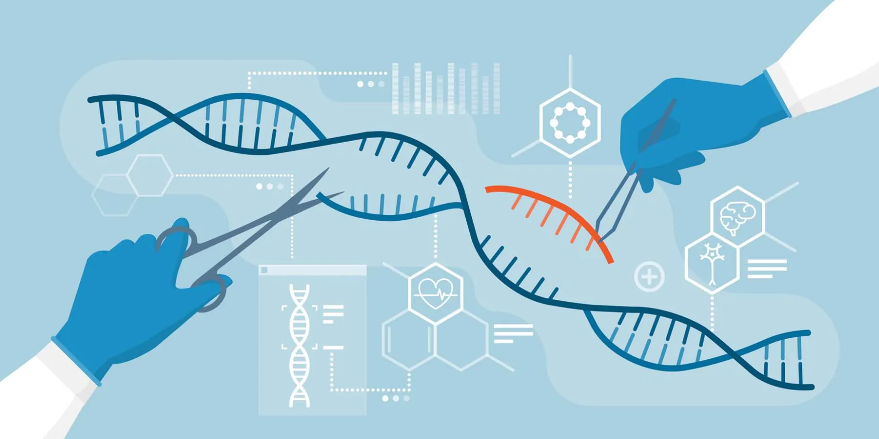 CRISPR CAS9 Technology and Gene Editing