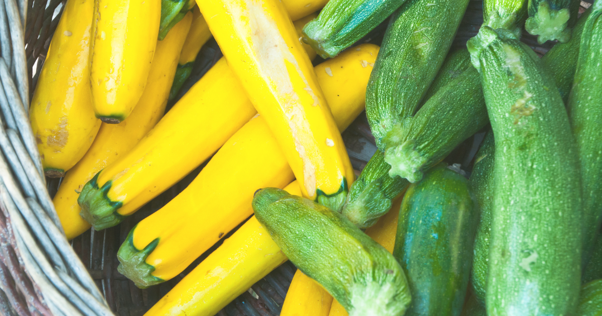 Harvesting Squash.png