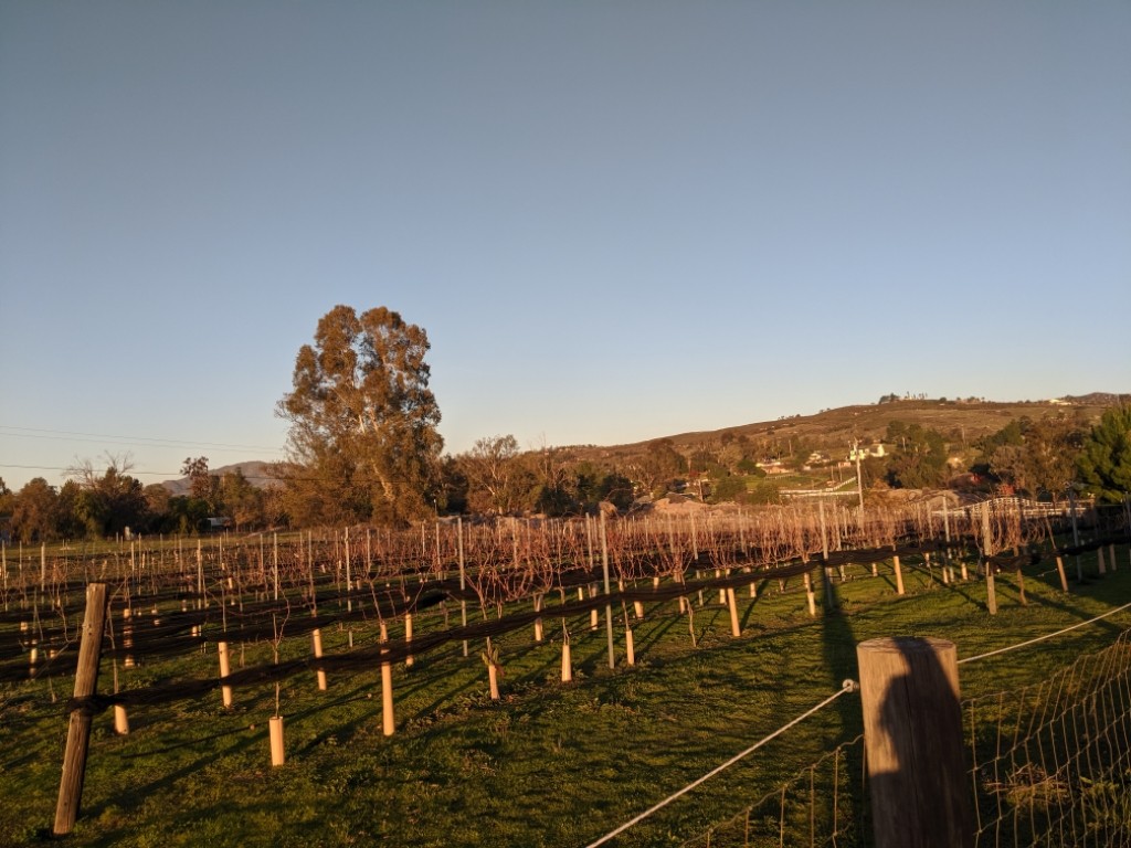 Correcaminos Vineyard is situated on five acres of land in Ramona, California.