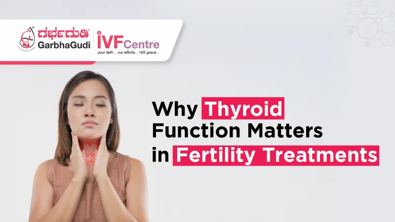 Why Thyroid Function Matters in Fertility Treatments