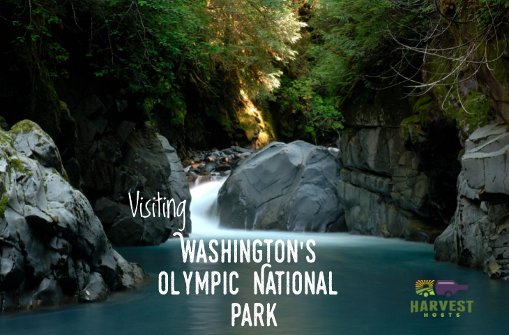 Visiting Washington''s Olympic National Park