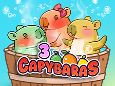 3 Capybaras