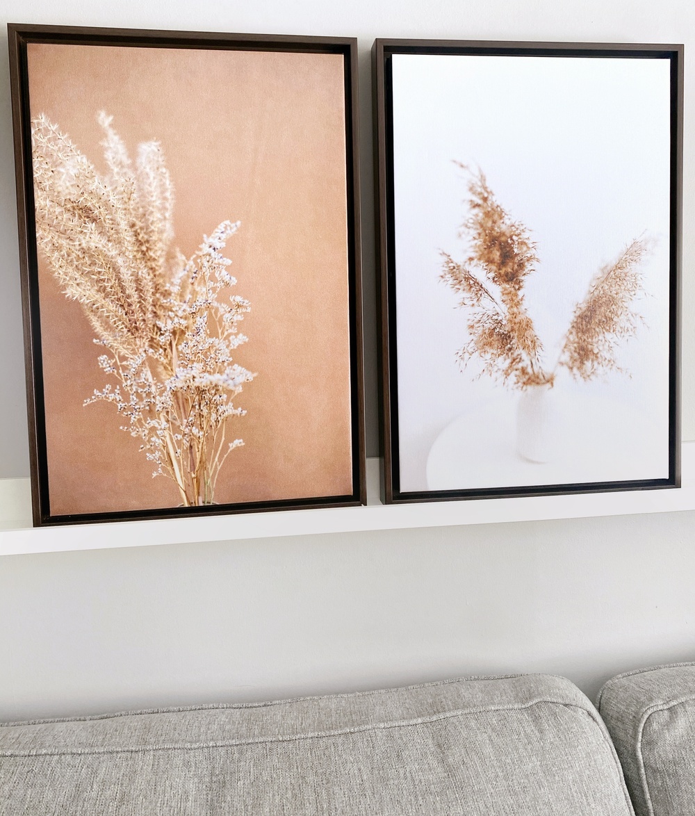 Float frames of botanical art on shelf.jpeg