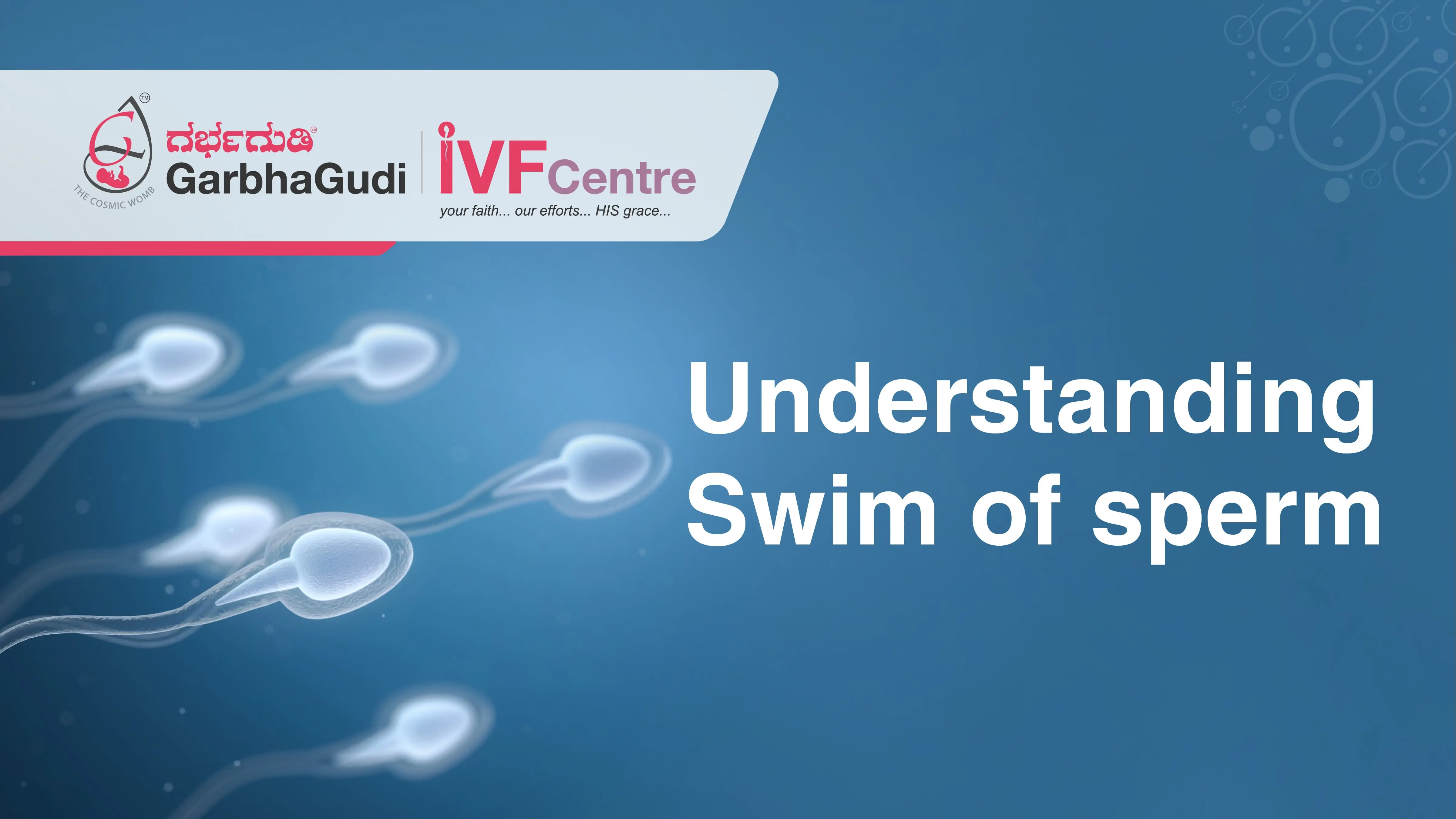 Understanding Swim of sperm