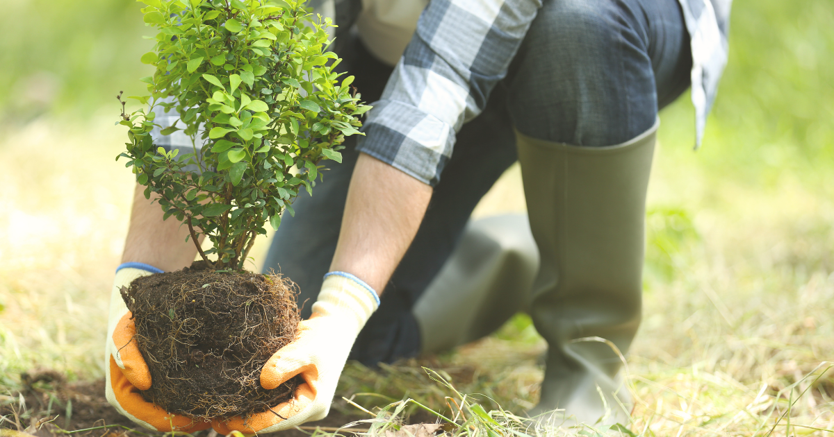 Essential Care Tips After Moving Outdoors.png