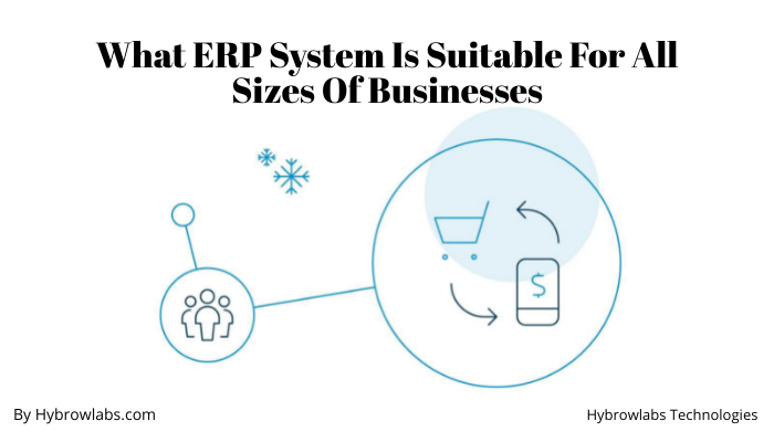 What ERP System Is Suitable For All Sizes Of Businesses.jpeg