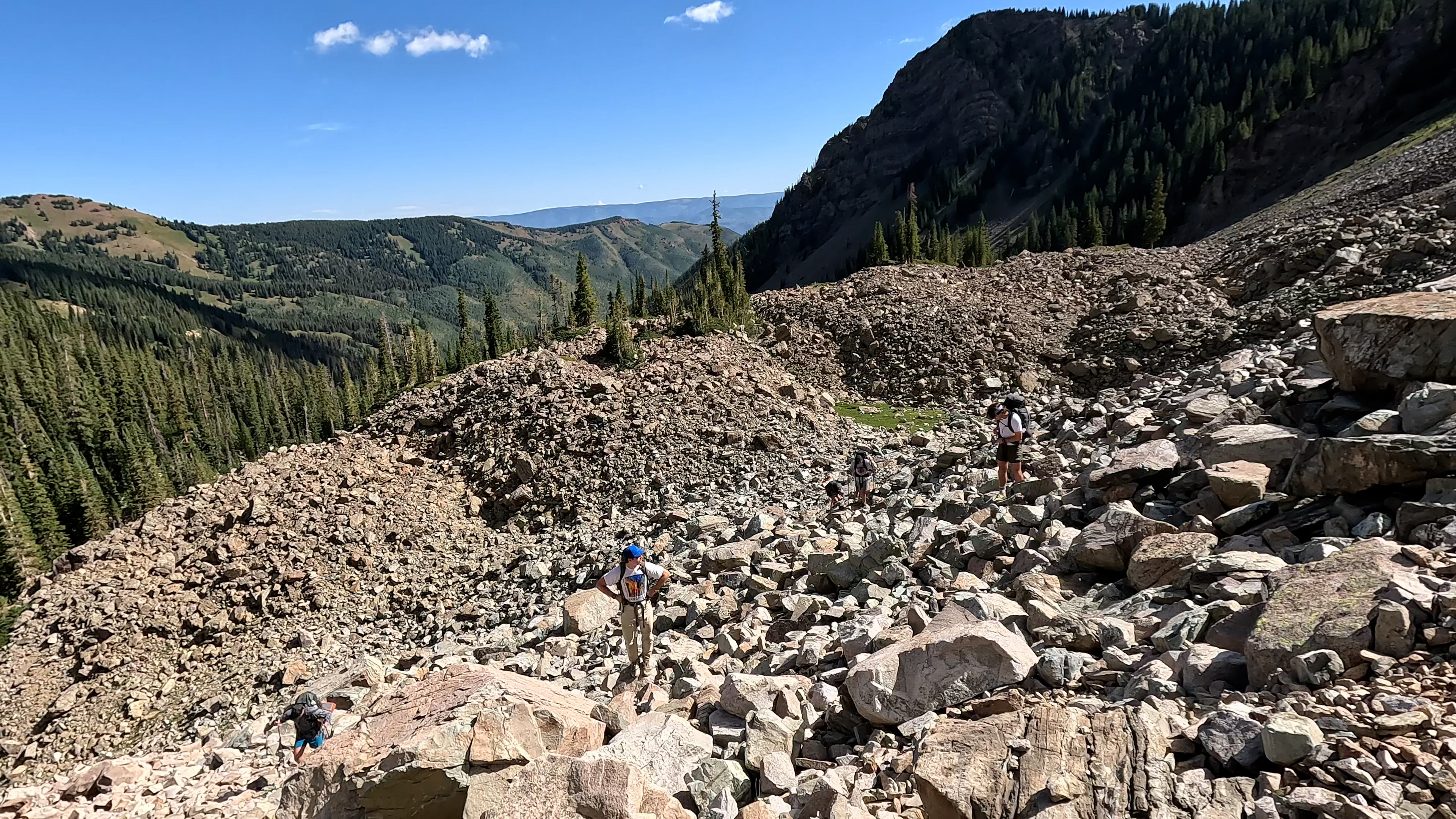 looking back below treeline.jpg