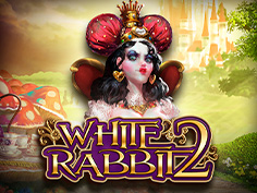 White Rabbit 2