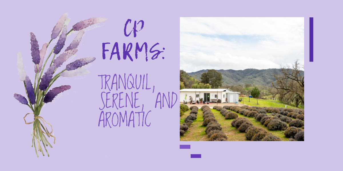CP Farms: Tranquil, Serene, & Aromatic