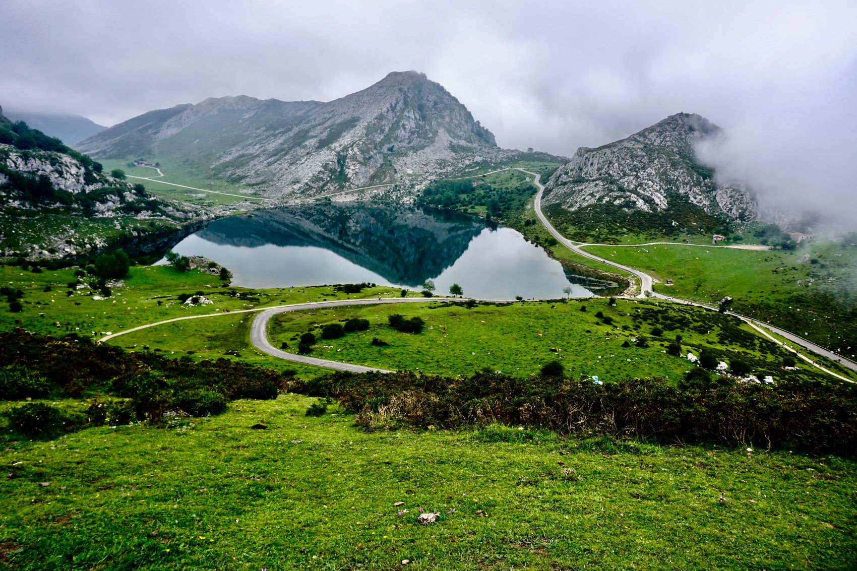 Picos de Europa