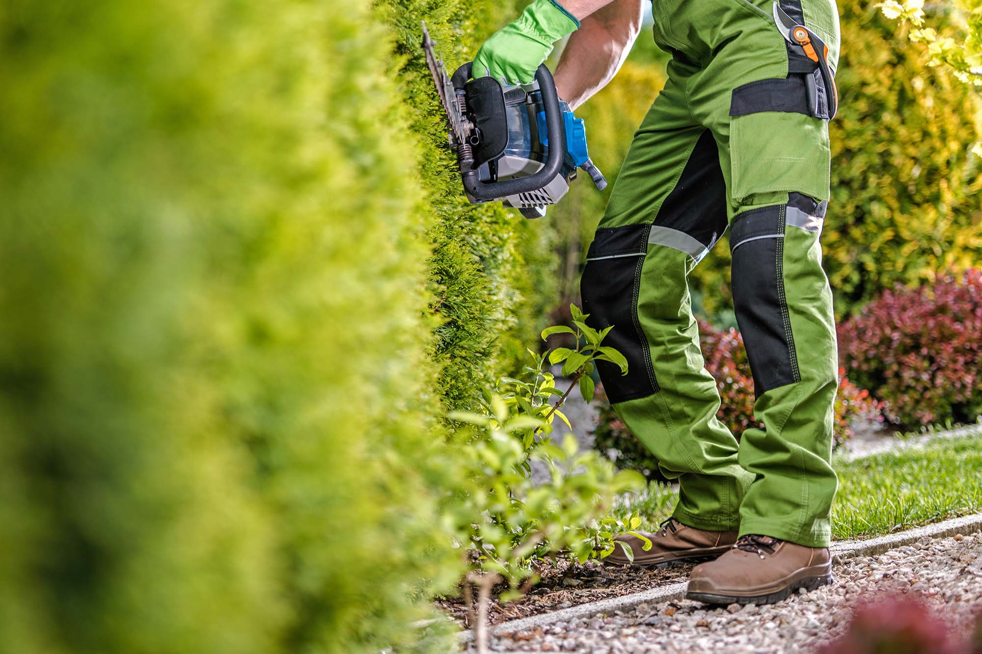 Case Garten und Landschaftspflege Sommer