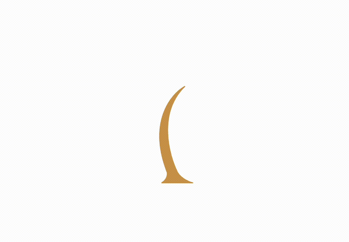 Branches growing.gif