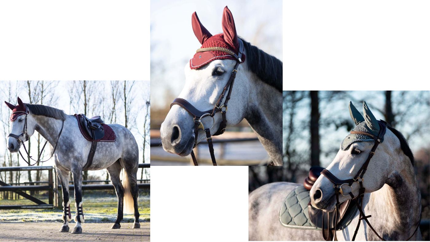 HPP_QHP Lookbook3.jpg