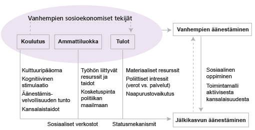 Kuvio 2. Tutkimuksessa mitatut vanhempien aseman mittarit ja niiden oletettu vaikutus lasten äänestämiseen