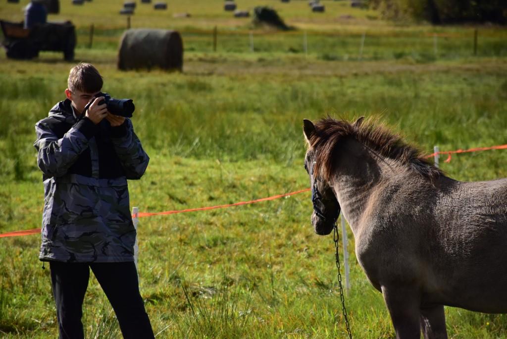 Obóz w Hucie Różanieckiej | Chłopiec przykładając aparat do twarzy fotografuje stojącego przed nim niedużego konika, w tle łąka i leżące na niej bele siana..JPG