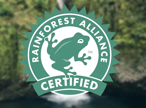 Rainforrest-Alliance-Cert-3.jpg