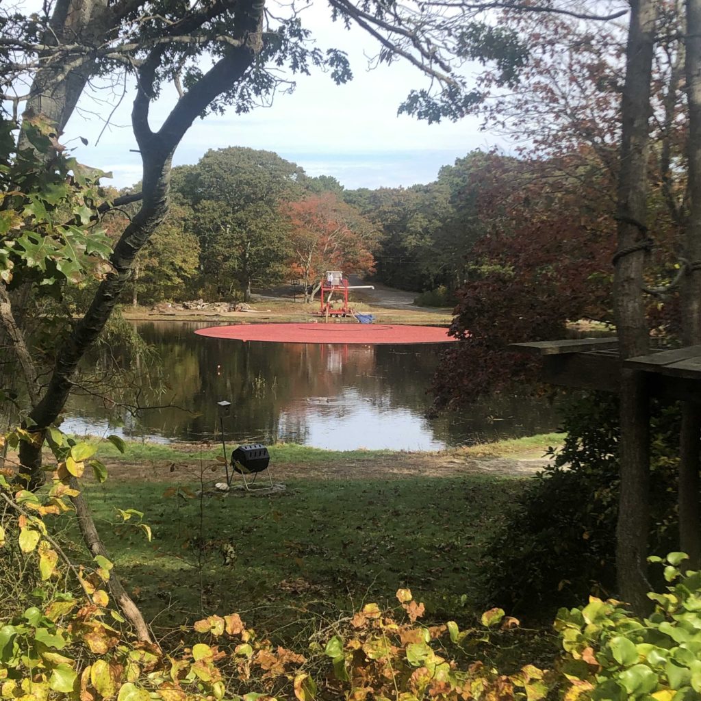 This Cranberry Bog is a quintessential New England experience.