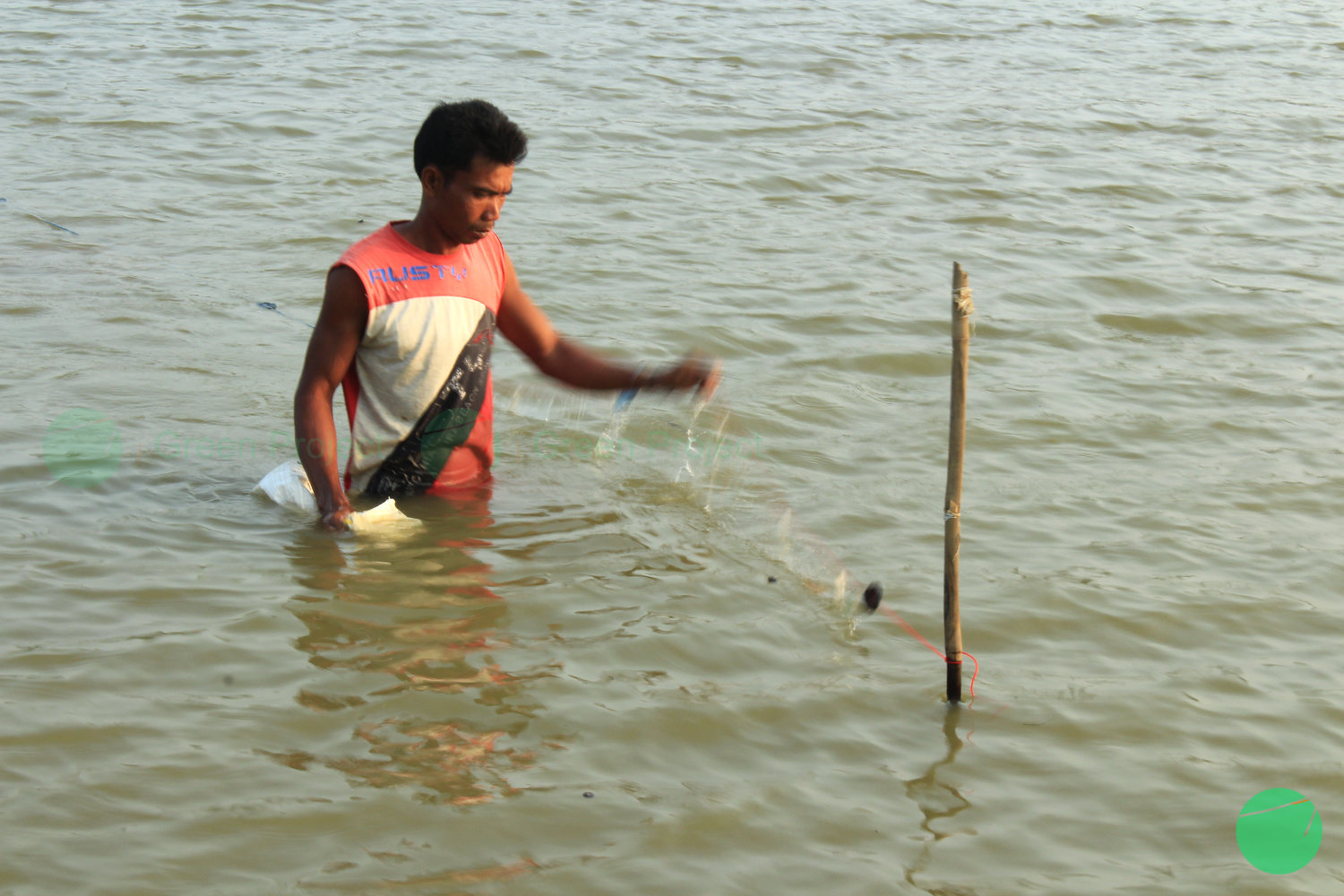 petani membereskan lahan pada musim panas di danau setu patok - 3.jpg