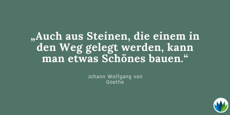 Die besten Buchzitate und Literaturzitate - Goethe.jpg