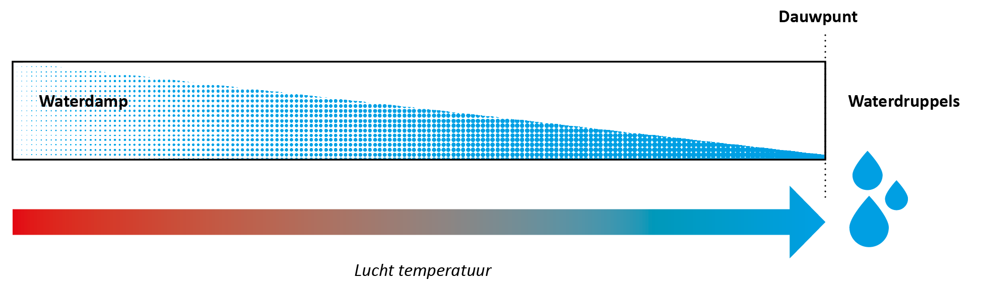 dauwpunt.png