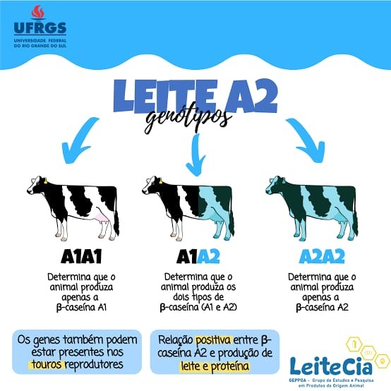 leite2.jpg