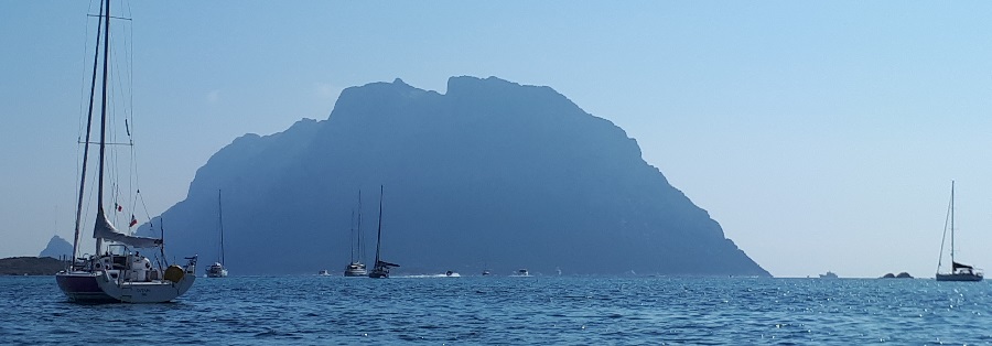 3718-20180813_101517-ter-Ile-Tavolara.jpg