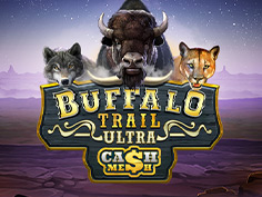 Buffalo Trail Ultra