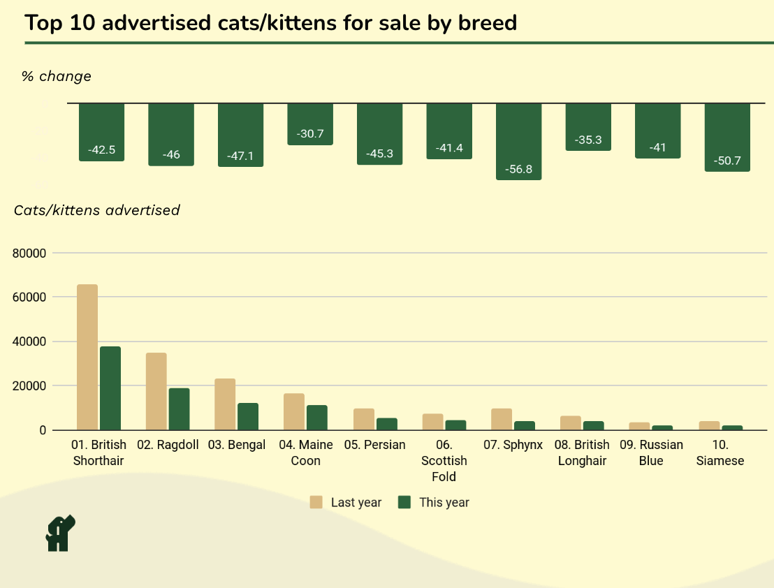 Top 10 advertised cats:kittens for sale by breed.png