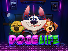 Doge Life