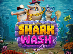 Shark Wash