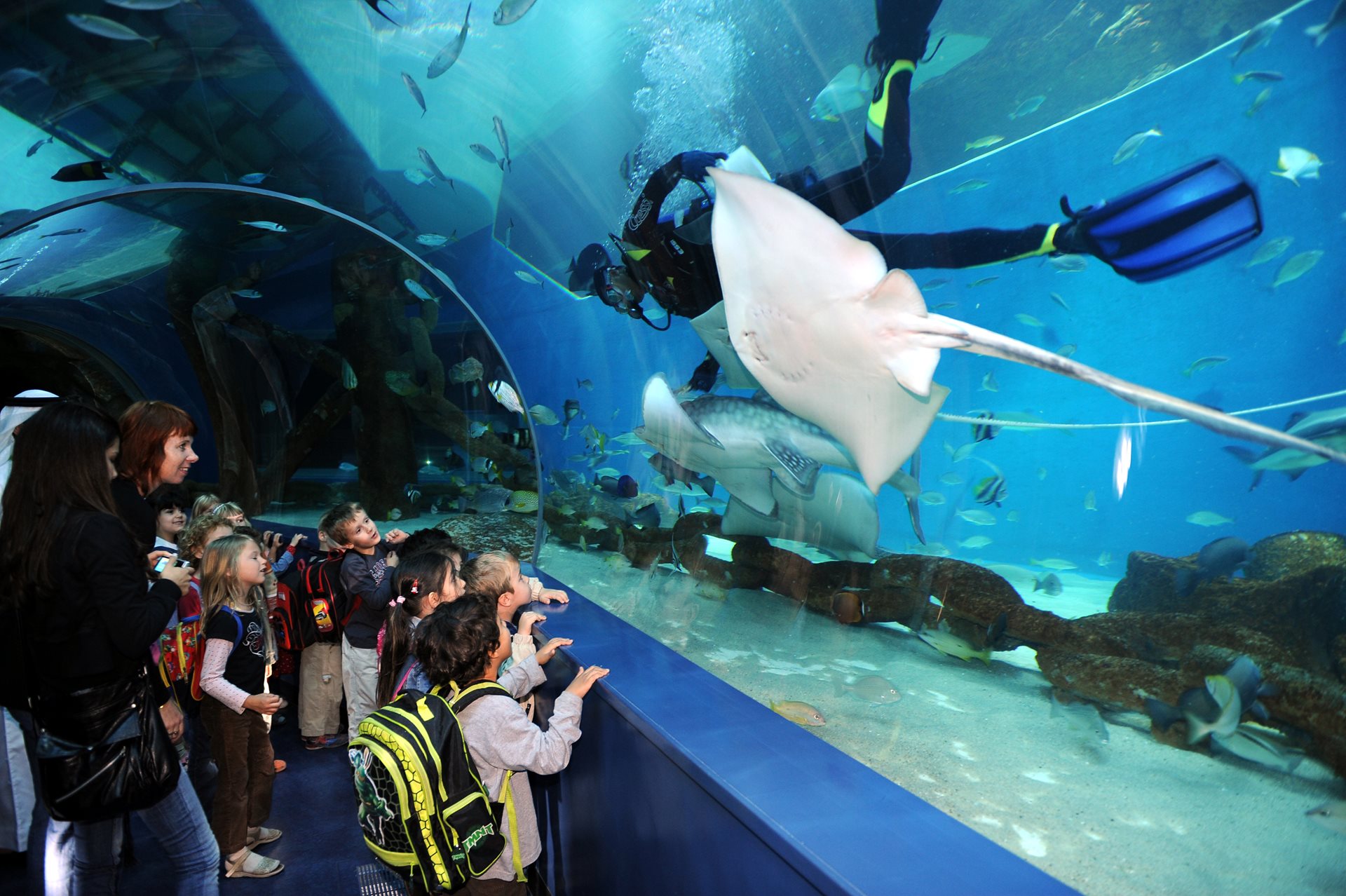 Sharjah-Aquarium-(1).jpg