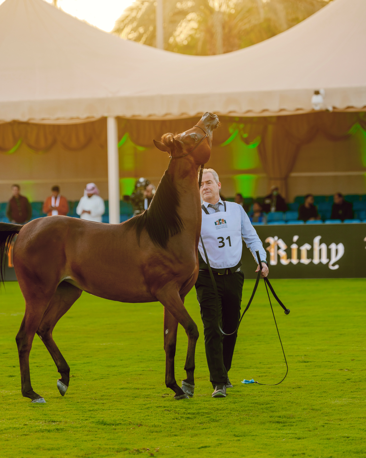 horse center-1 (1).jpg