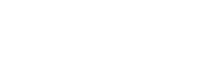 Flixcheck Logo