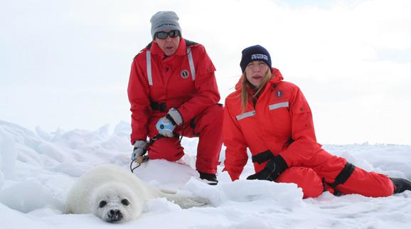 Paul McCartney | News | Exclusive McCartney Seal Hunt Piece