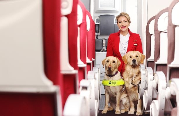 virgin atlantic international pet travel