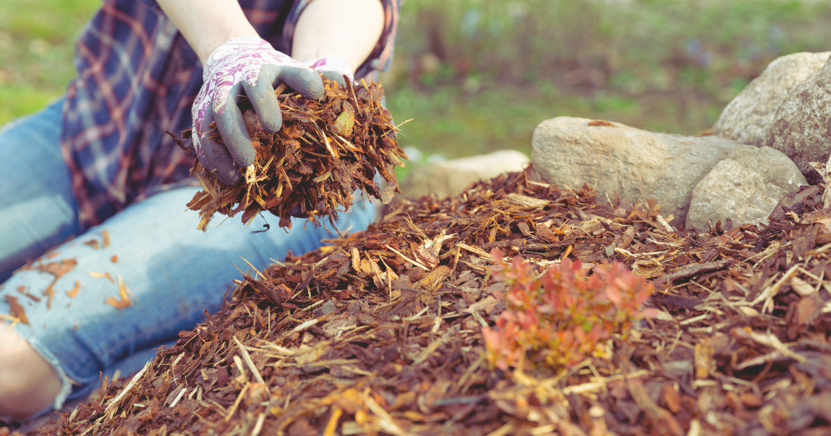 Common Mulching Mistakes to Avoid.png